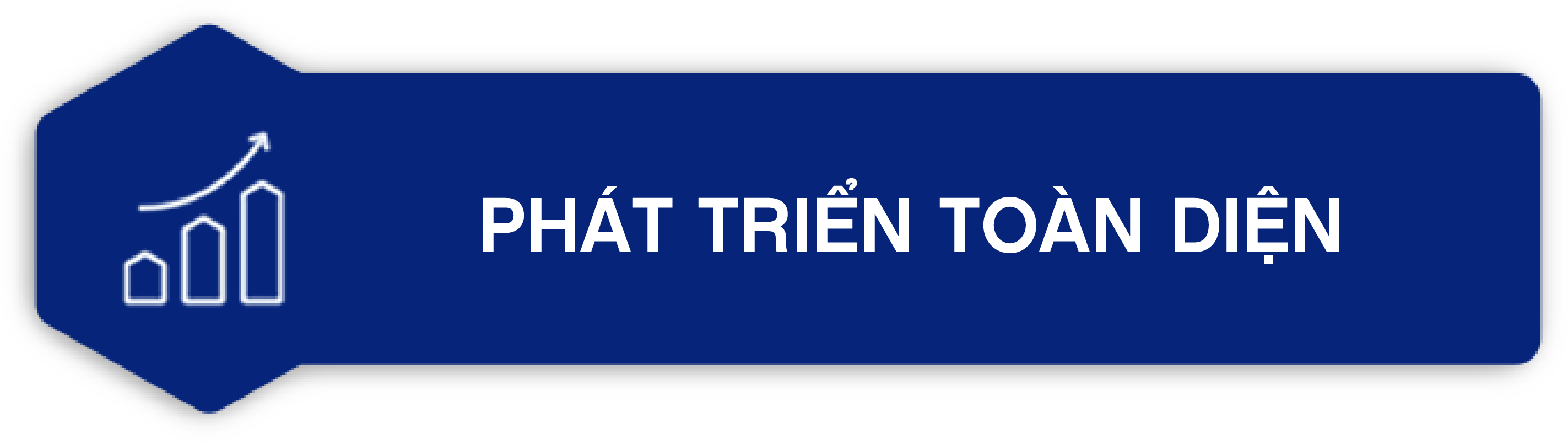 Phát triển toàn diện