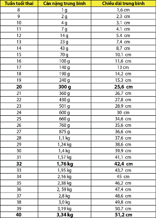 A picture containing text, building

Description automatically generated