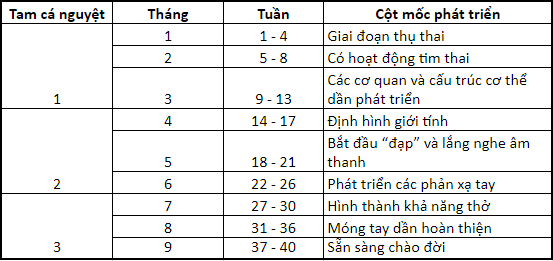Table

Description automatically generated