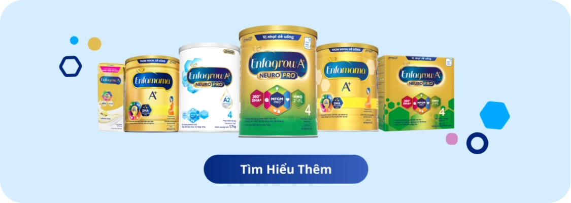 Các sản phẩm Enfa